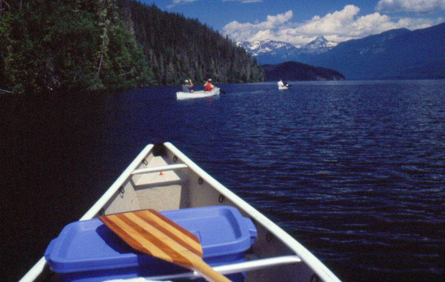 Helmcken Falls Lodge Cabin Rooms And Rv Park Clearwater Bagian luar foto